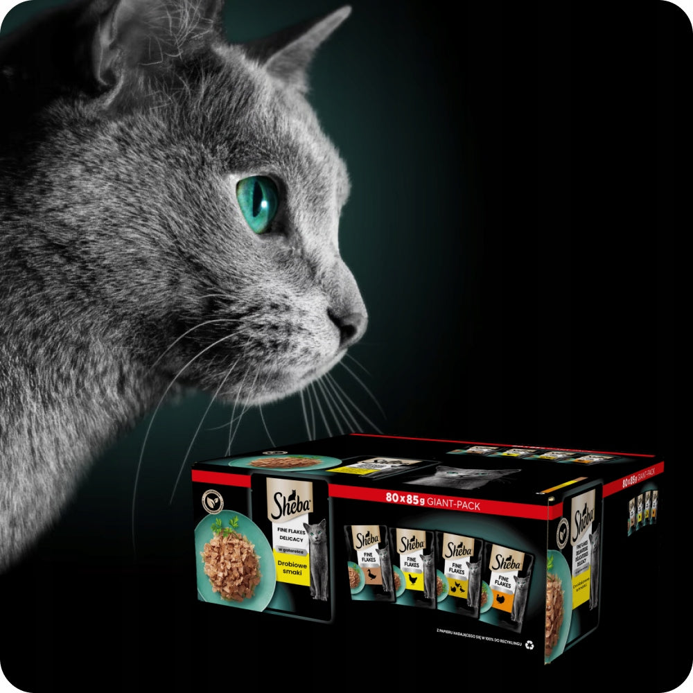 SACHETS SHEBA DELICACY FINE FLAKES POULTRY FLAVORS IN JELLY 80X85G Manufacturer code 4770608257835