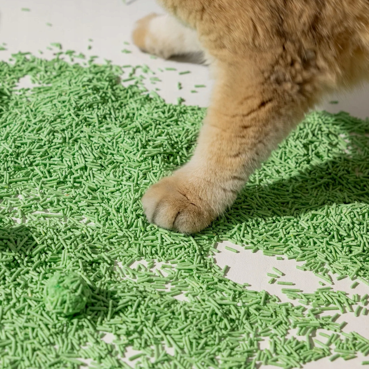 SAGAPO Cat Litter Clumping Natural Fragrance Tofu 2,5kg Tea Brand Reddy Zoo