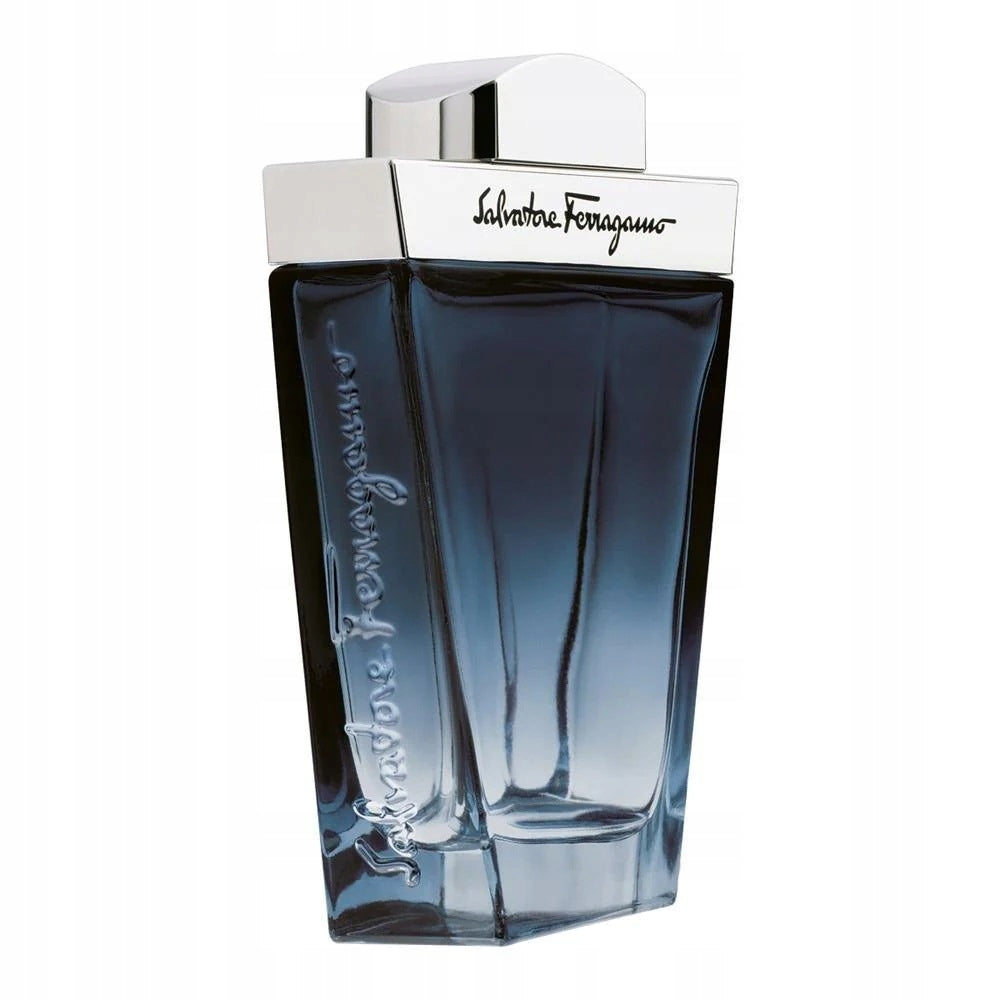 SALVATORE FERRAGAMO Subtil Pour Homme EDT 100ml
