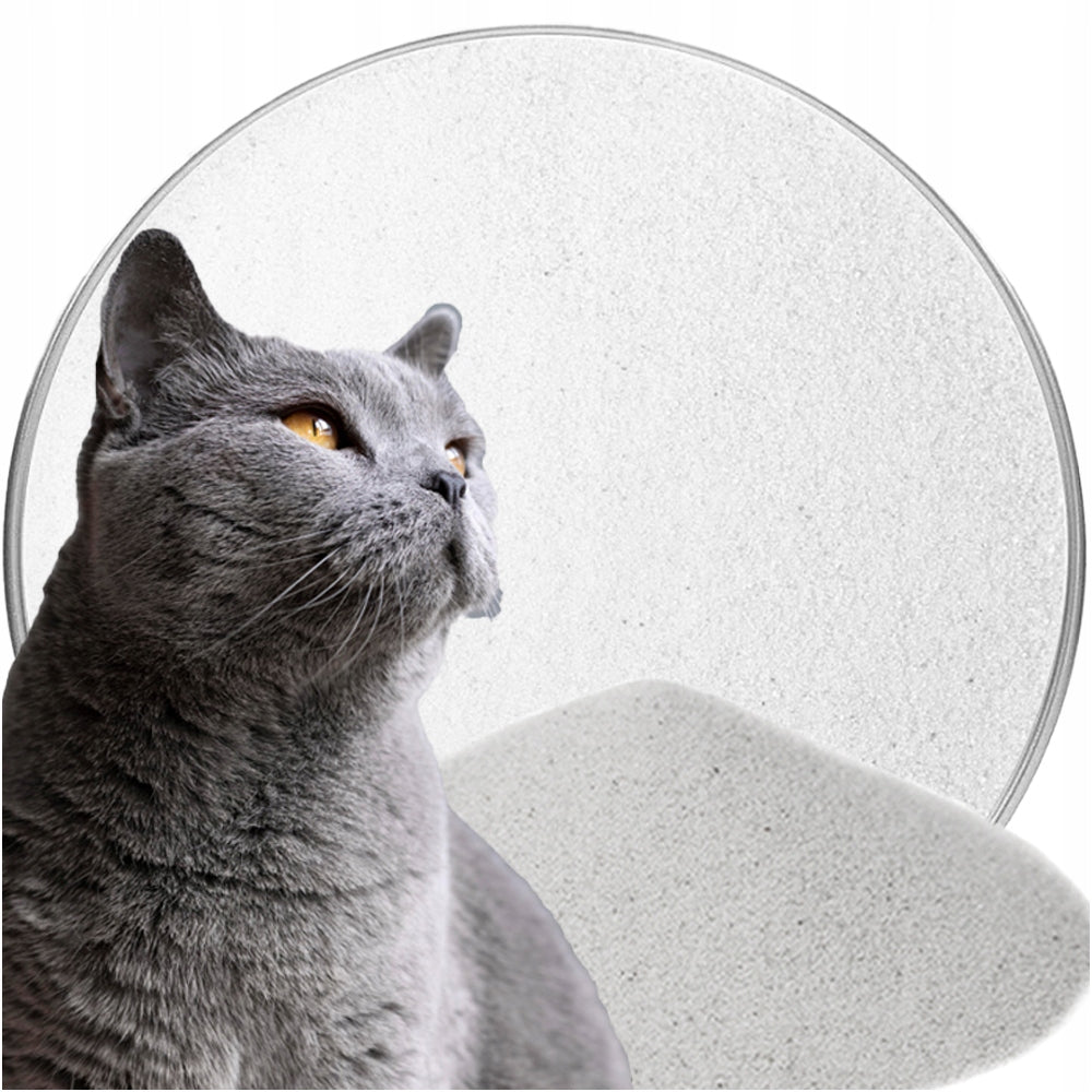 SAND CAT LITTER FOR LITTER BOX NATURAL 2 KG