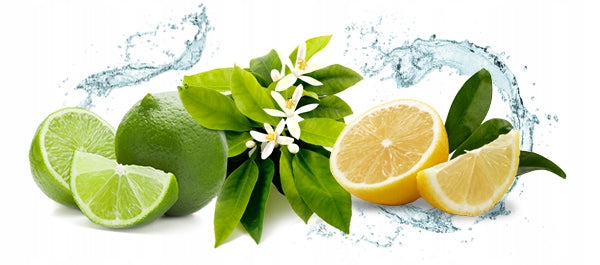 SAPHIR MEN CALIFORNIA Eau de Parfum, 50 ml Manufacturer code 8424730016827