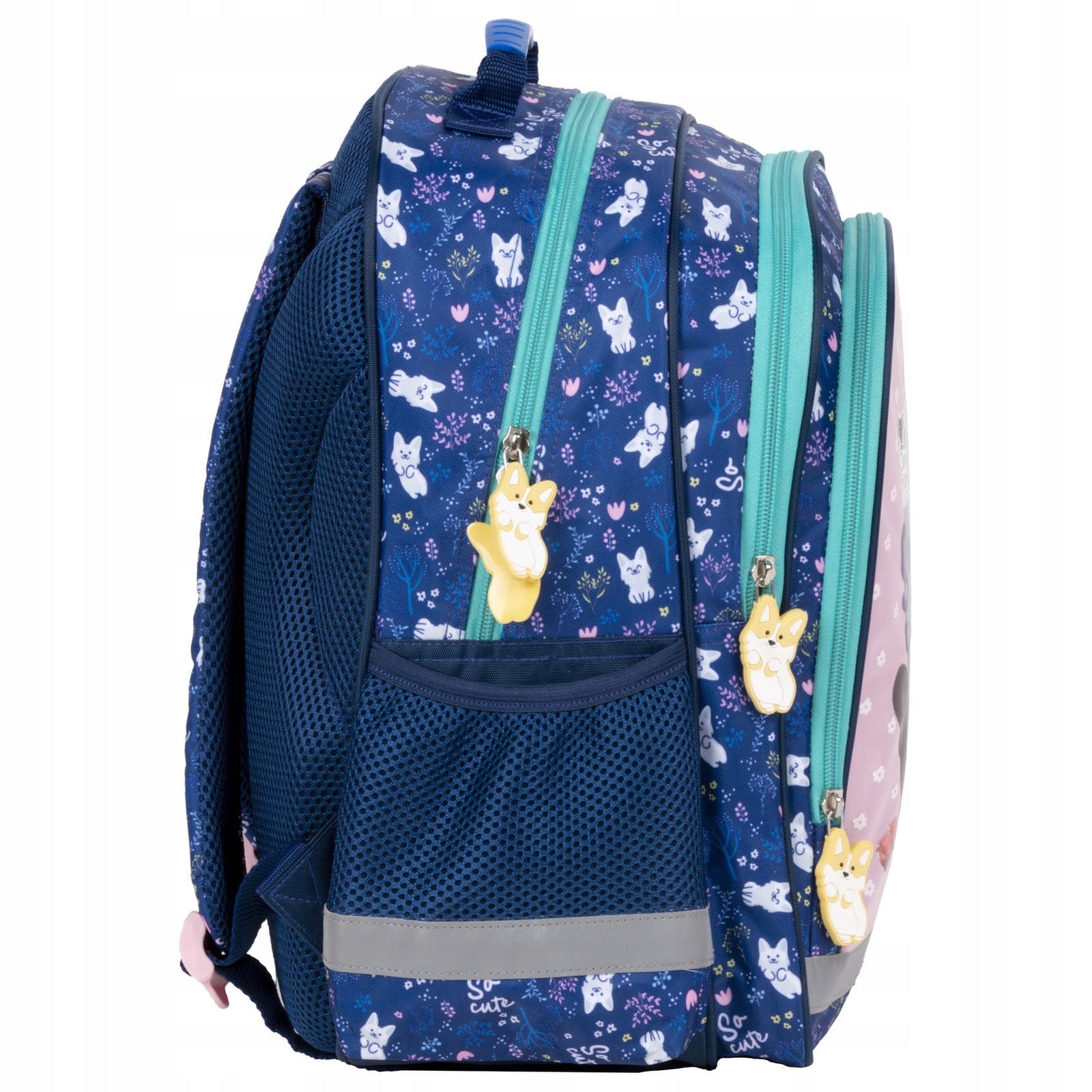 SCHOOL BACKPACK SATCHEL FOR GIRLS TO SCHOOL CLASS 1 2 3 TWO-CHAMBER Brand Derform