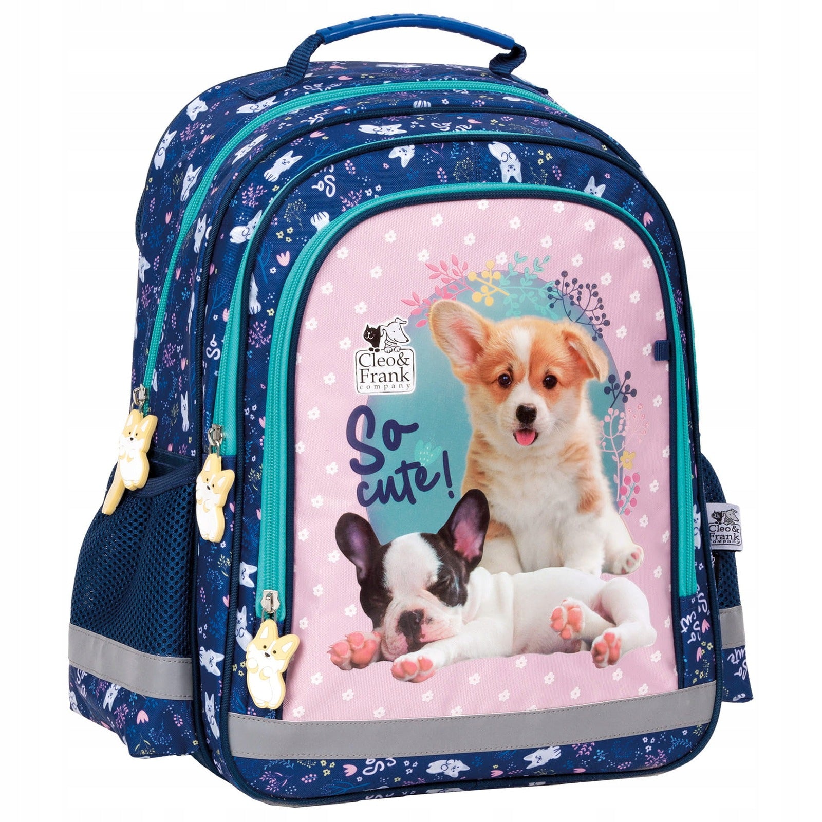 SCHOOL BACKPACK SATCHEL FOR GIRLS TO SCHOOL CLASS 1 2 3 TWO-CHAMBER