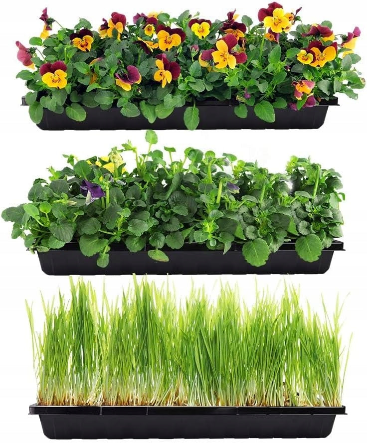 SEEDING TRAY SOWING STAND TRANSPORTER SEED POT SEED SEEDS SEEDLINGS 56cm Manufacturer code TACKA DO WYSIEWU na rozsady nasiona taca