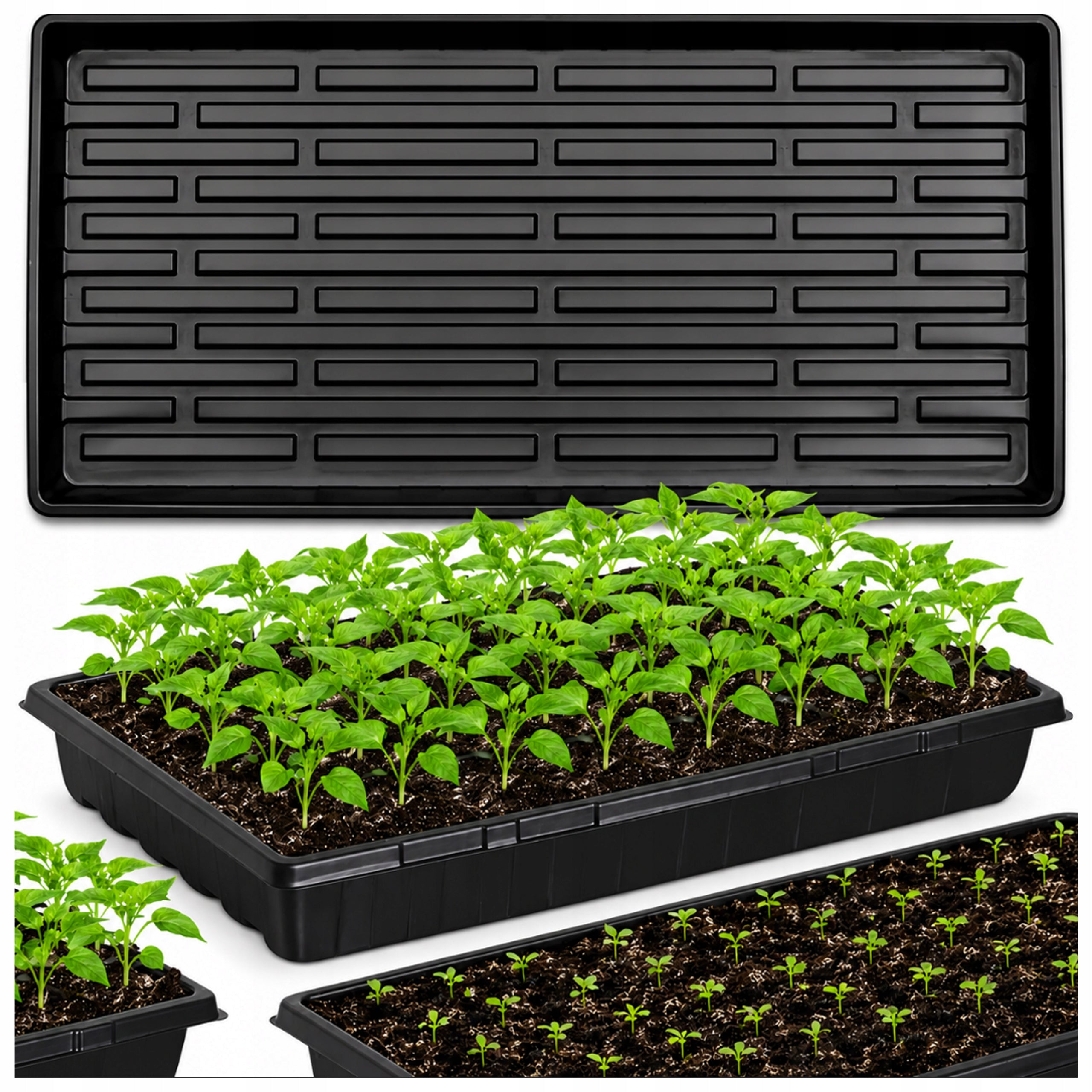 SEEDING TRAY SOWING STAND TRANSPORTER SEED POT SEED SEEDS SEEDLINGS 56cm