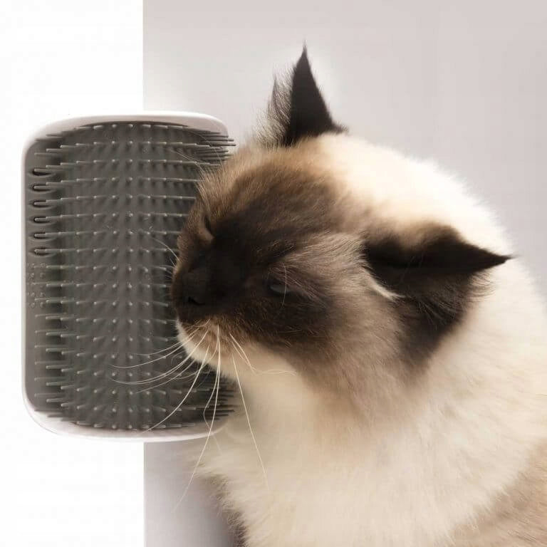 SELF-SERVICE CAT brush FOR CHAIR WALL 13 cm + CATNIP Packaging status original