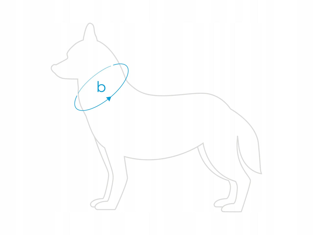SEMI-CLAMP COLLAR AMIPLAY BEHAPPY L CHERRY FOR DOG Manufacturer code 5907563305731