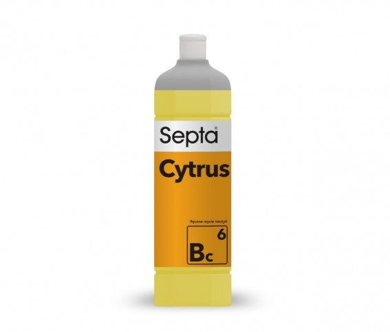 SEPTA Citrus Bc6 1L Dishwashing Liquid