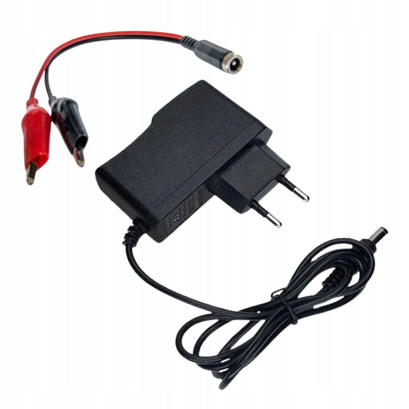 SET: CHARGER 12V PLUG + ADAPTER Adapter frog battery AGM