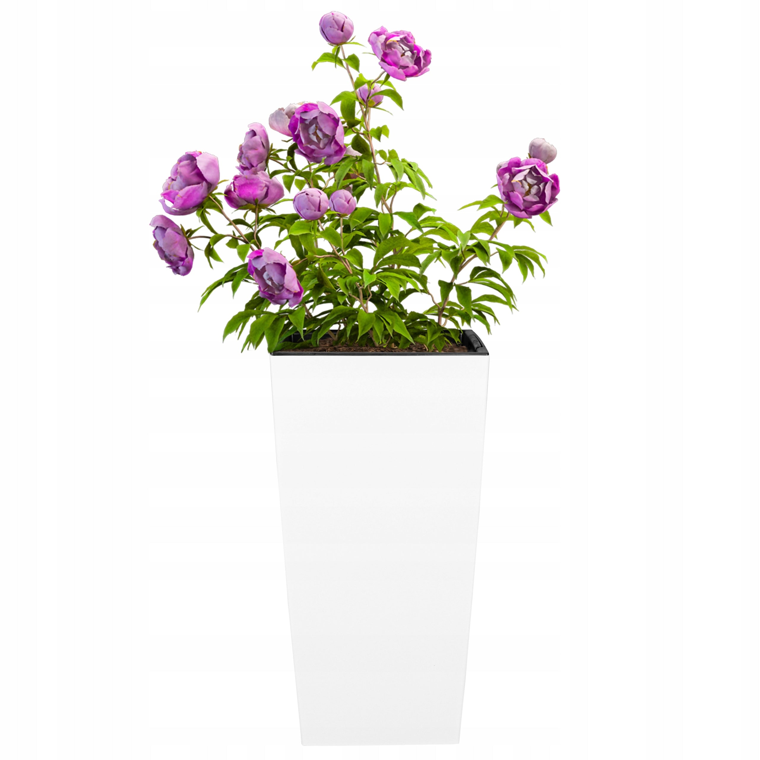 SET OF 3X POT PLANTER WHITE GARDEN FLOWERBED STANDING TERRACE WITH INSERTS Manufacturer code Doniczki matowe białe 3 rozmiary 140 170 200