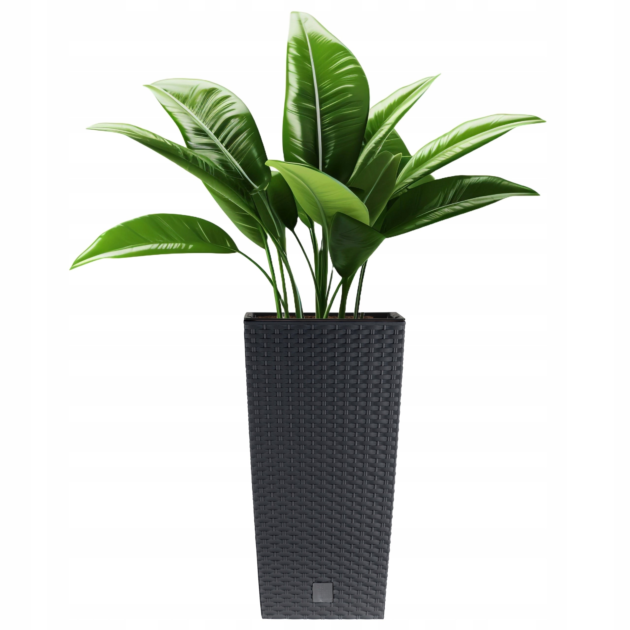 SET OF 3x FLOWER POT BALCONY GARDEN RATTAN FLOWERBED ANTHRACITE CARTRIDGE Material synthetic material