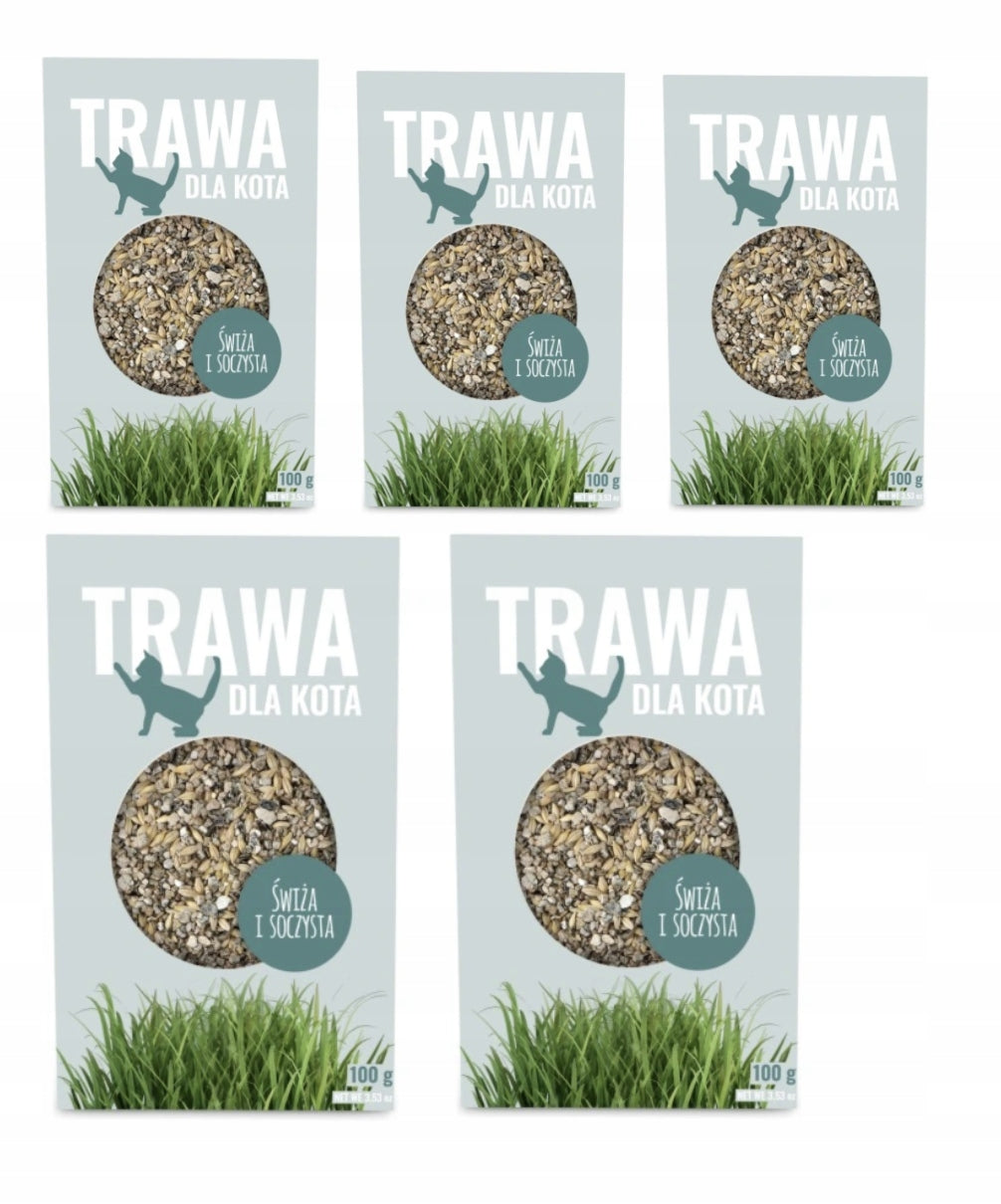 SET OF 5 Cat Grass Seeds 100g Fresh Fast Growing Treat