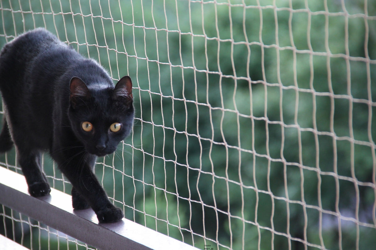 SET OF CAT BALCONY NET REINFORCED WITH WIRE WITHOUT DRILLING 5x3 Packaging status original