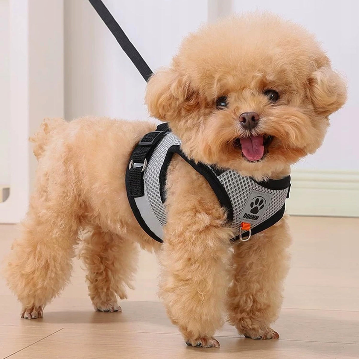 SET OF CAT HARNESS WITH AUTOMATIC RETRACTABLE LEASH 5 M GREY Manufacturer code 0047406091102