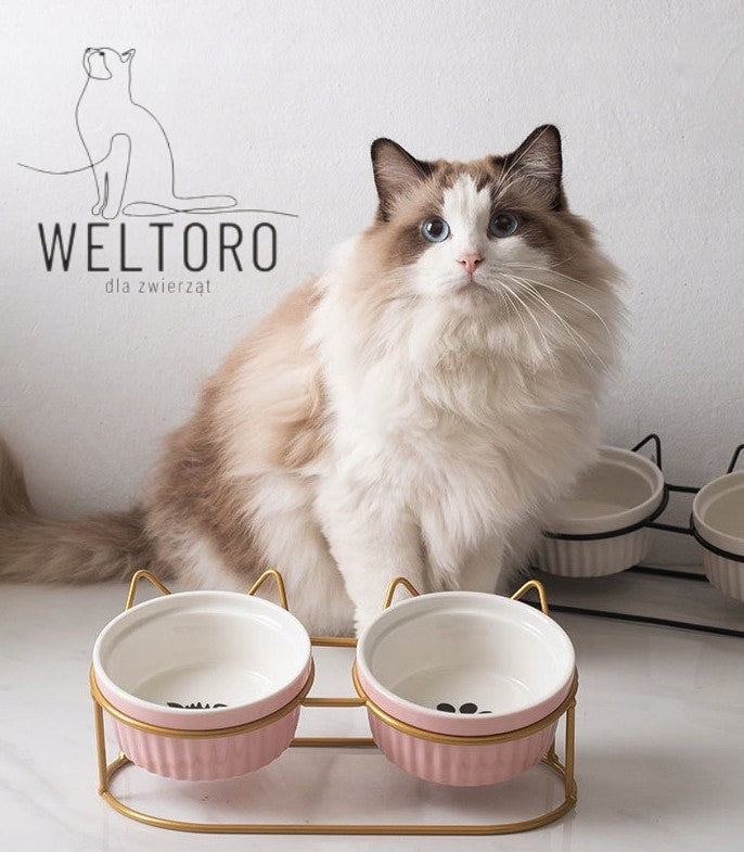 SET OF CERAMIC CAT FOOD BOWLS ON A STAND MODERN TASTEFUL Brand no brand