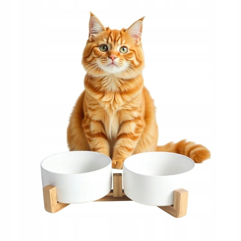 SET OF CERAMIC DOG CAT FOOD BOWLS ON THE BASE