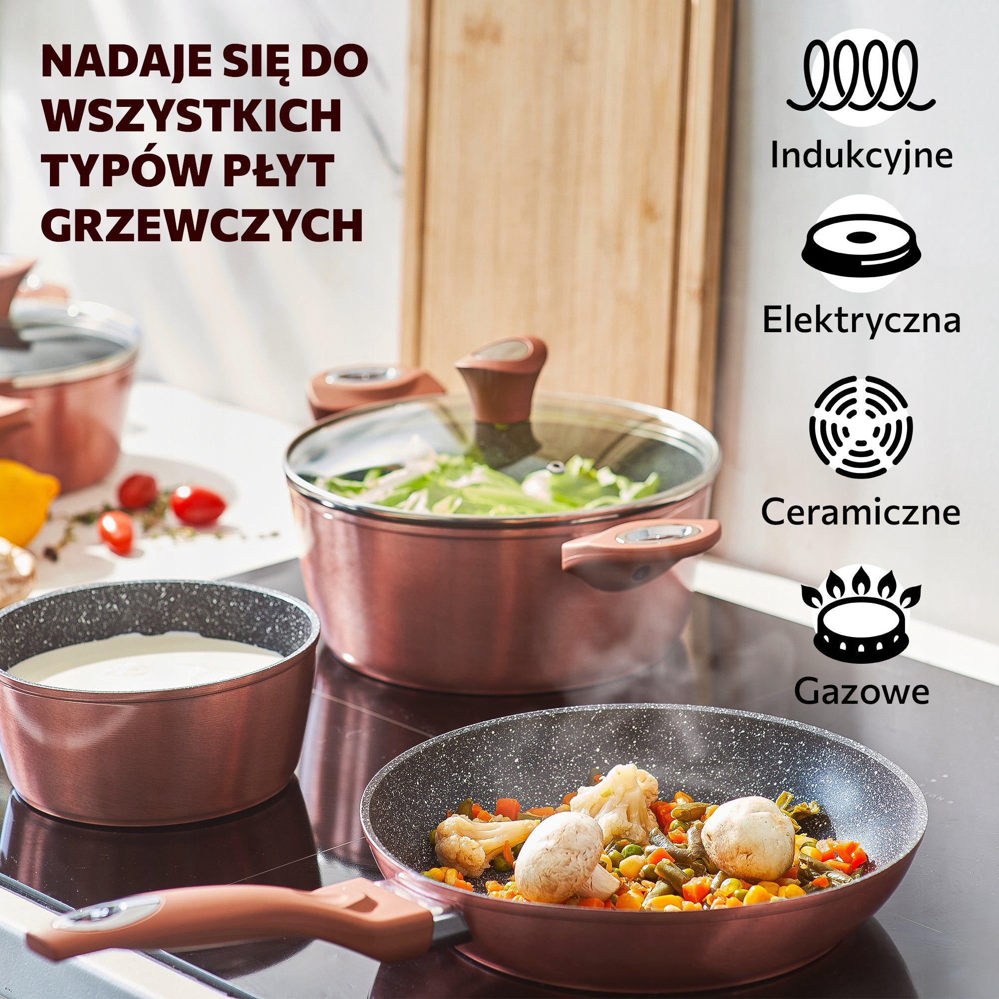 SET OF POTS AND PANS 15EL – INDUCTION FOR INDUCTION AND GAS WITH LID Manufacturer code 860011439523