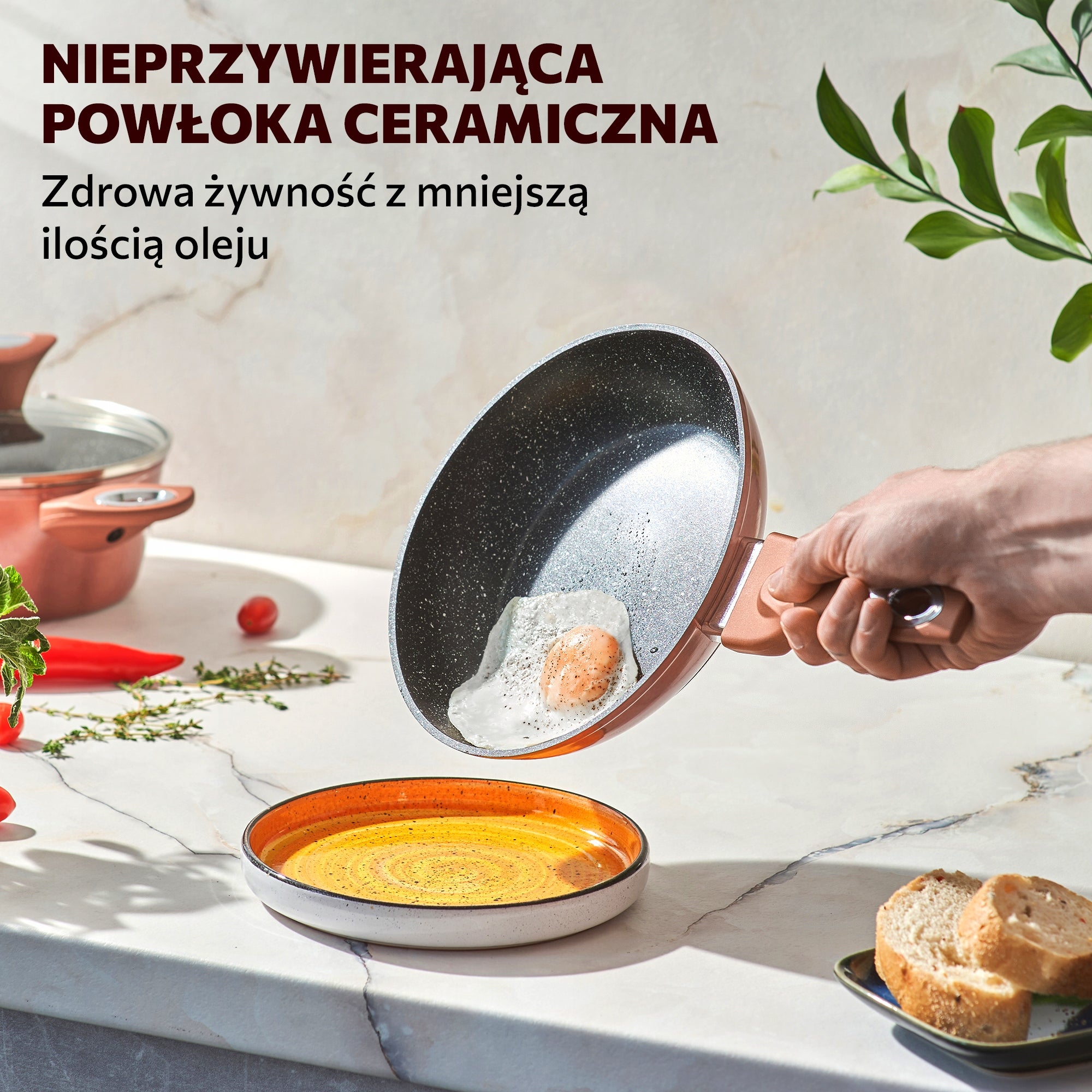 SET OF POTS AND PANS 15EL – INDUCTION FOR INDUCTION AND GAS WITH LID Material aluminum
