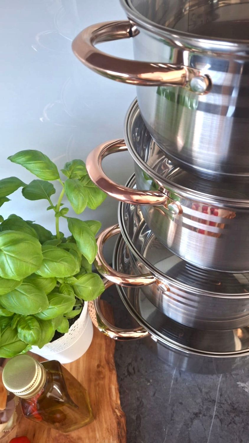SET OF POTS INDUCTION / GAS POTS STAINLESS STEEL SET 8 ELE Material stainless steel