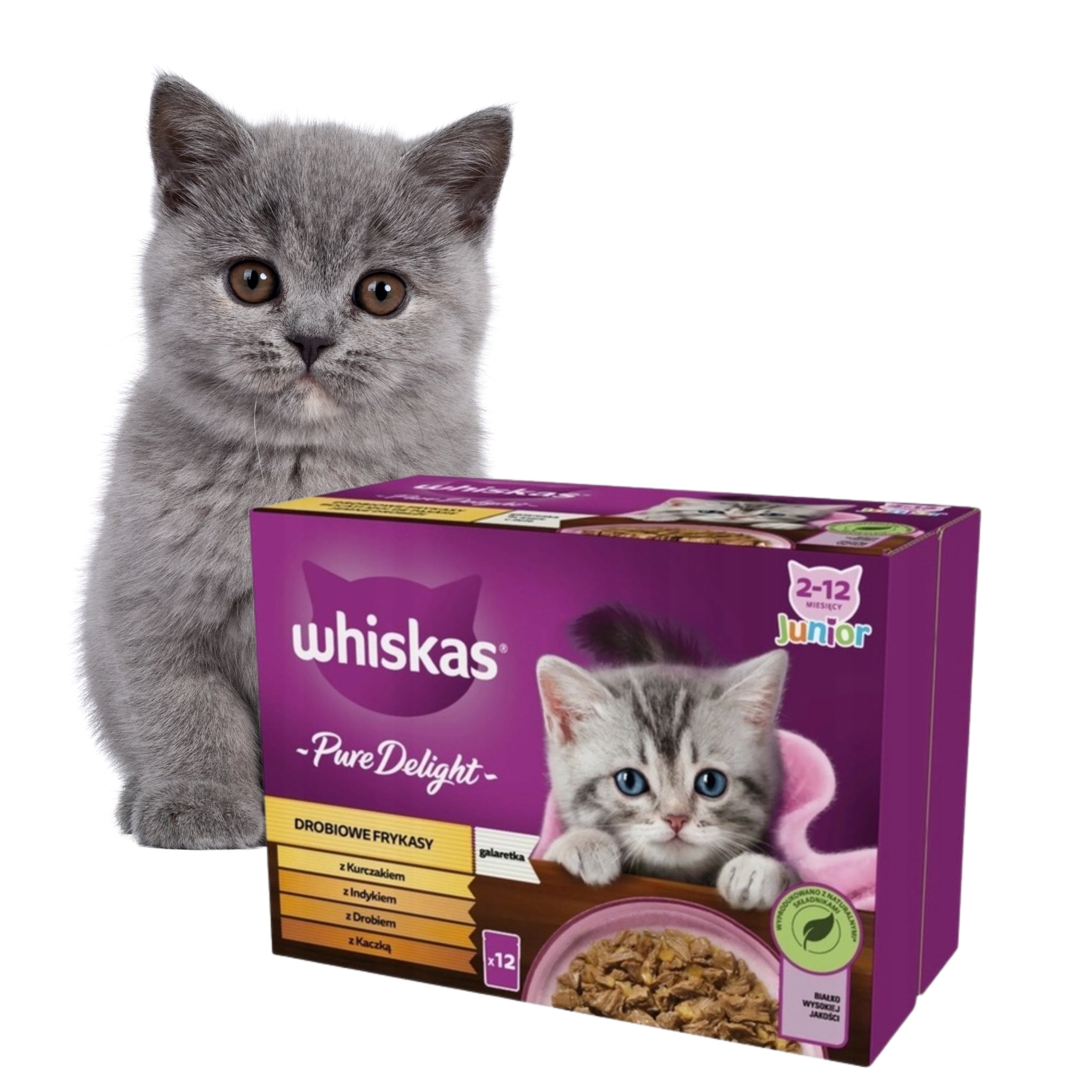 SET Whiskas Poultry sachet Frtkasy JUNIOR 84x85g kitten box Brand Whiskas