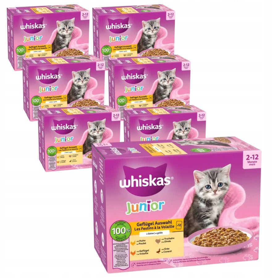SET Whiskas Poultry sachet Frtkasy JUNIOR 84x85g kitten box