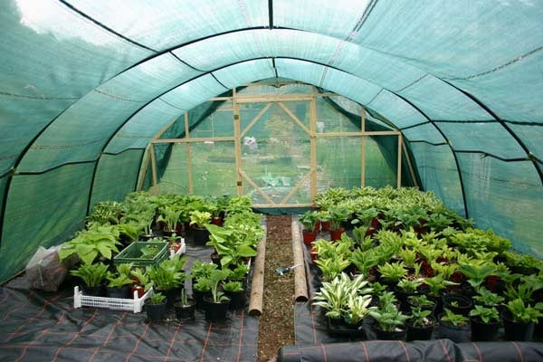 SHADING MESH MAT FENCE COVER FENCE 1,5x50m 62%+UV BANDS GREEN Kind mesh