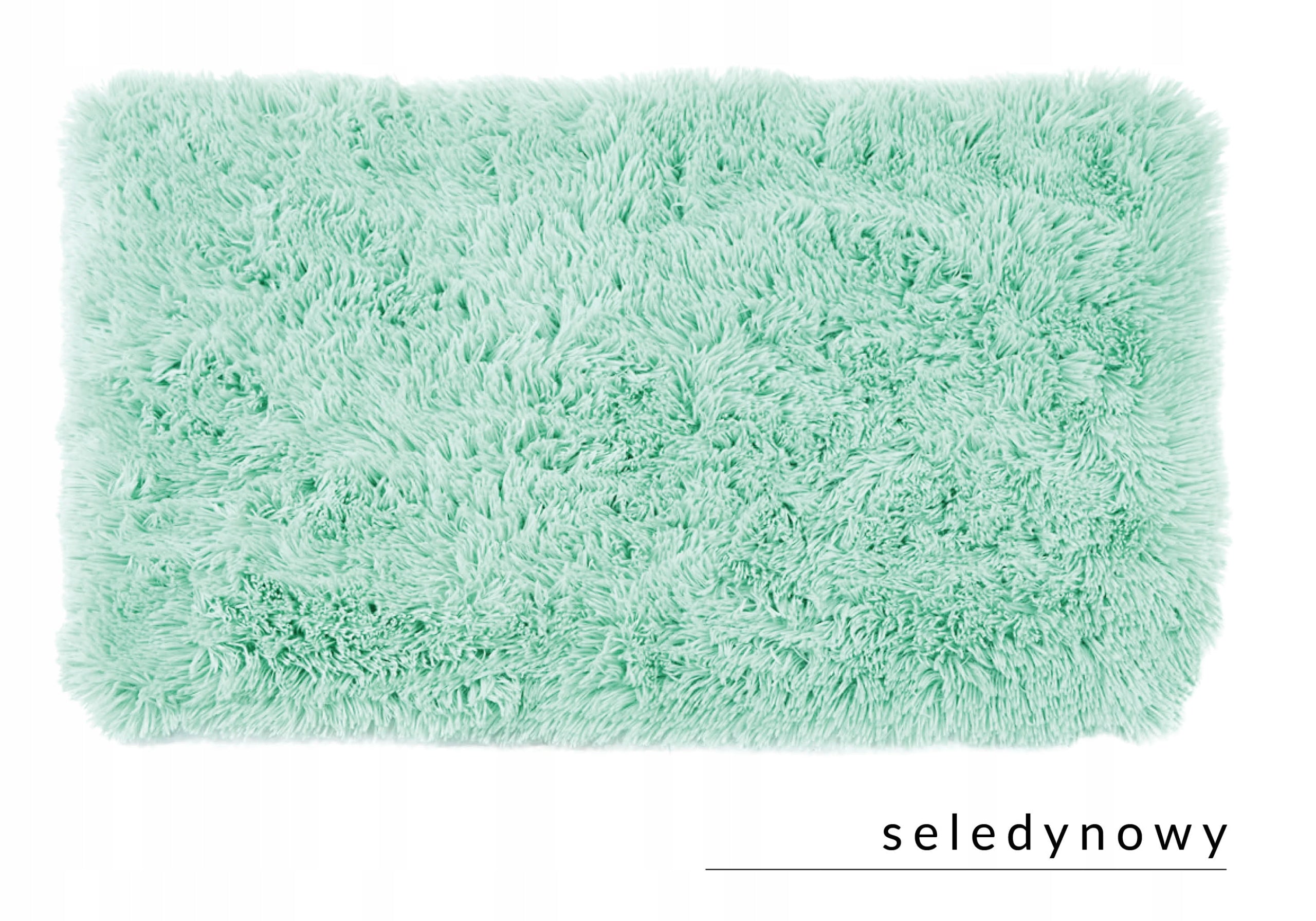 SHAGGY RUG NON-SLIP MODERN SOFT FLUFFY 60x90 CELADON EAN (GTIN) 5908253123666