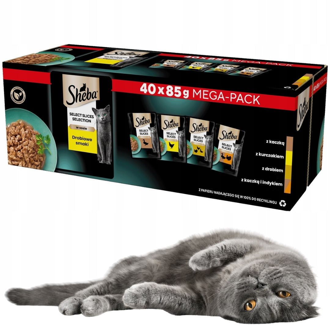 SHEBA poultry flavors wet cat food in sachet sauce 40x85 g