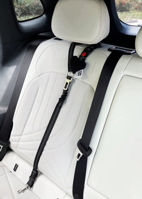 SHEIN BLACK CAR LEASH S07