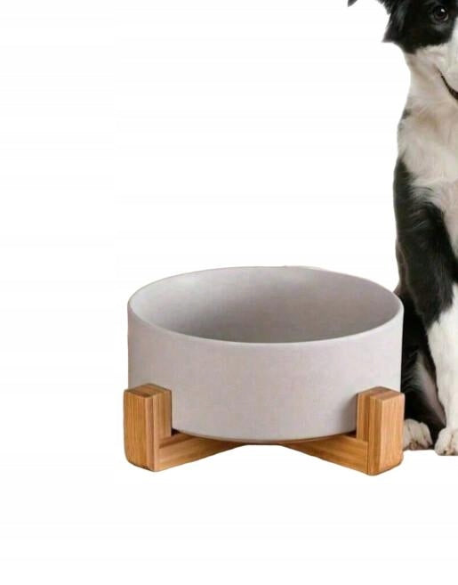 SHEIN GREY CAT BOWL CM6 S07__11X4,8