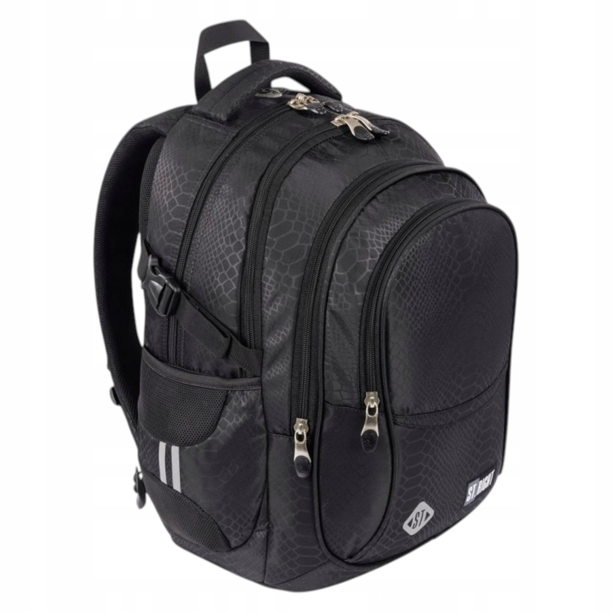 SHINY SNAKE St. Right Multi-Compartment Youth School Backpack (4 Compartments) Manufacturer code 5903235665226