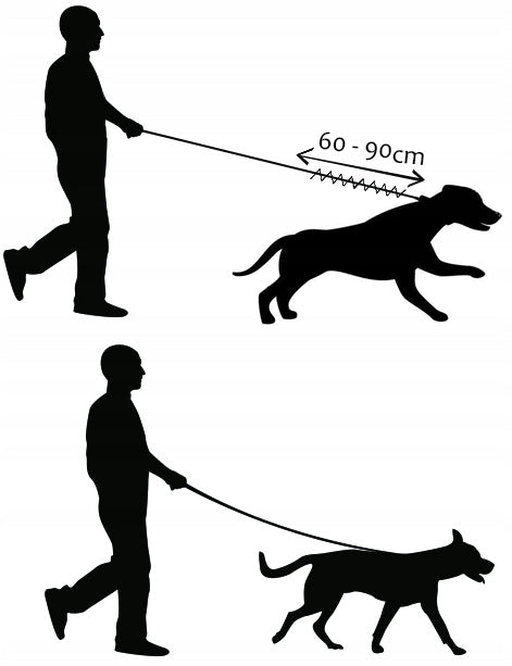 SHOCK ABSORBER FOR A TRAINING LEASH FOR A PUTTING DOG Kind traditional