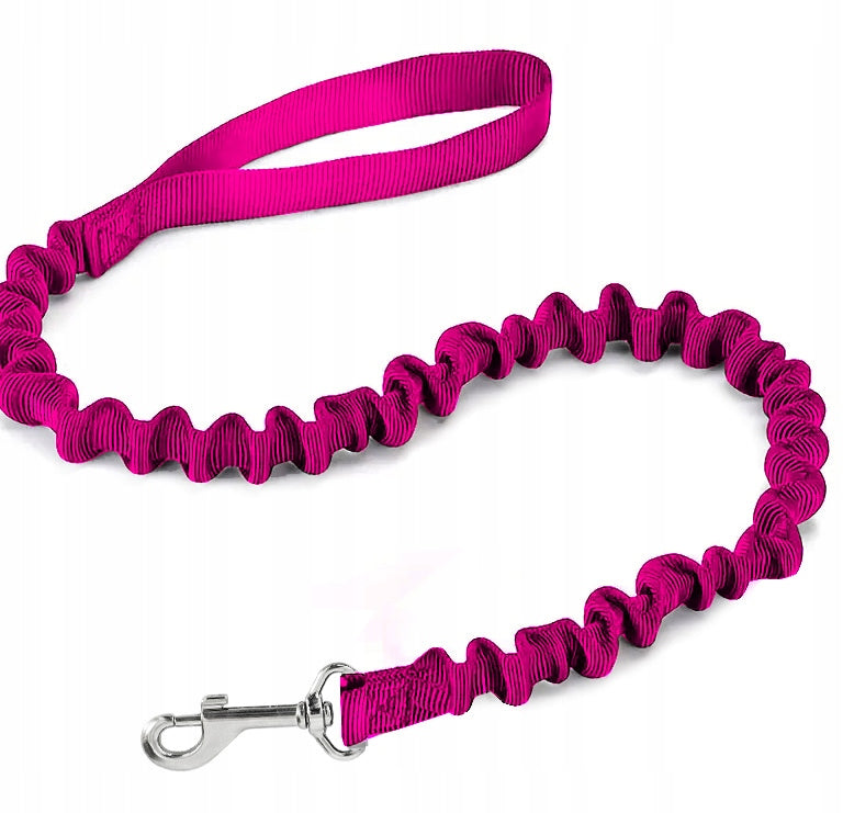 SHOCKING DOG LEASH FOR A PUTTING DOG SHOCKER FOR TRAINING Manufacturer code SM-AM-PK