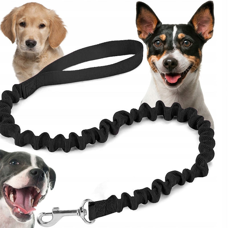 SHOCKING DOG LEASH FOR A PUTTING DOG SHOCKER FOR TRAINING
