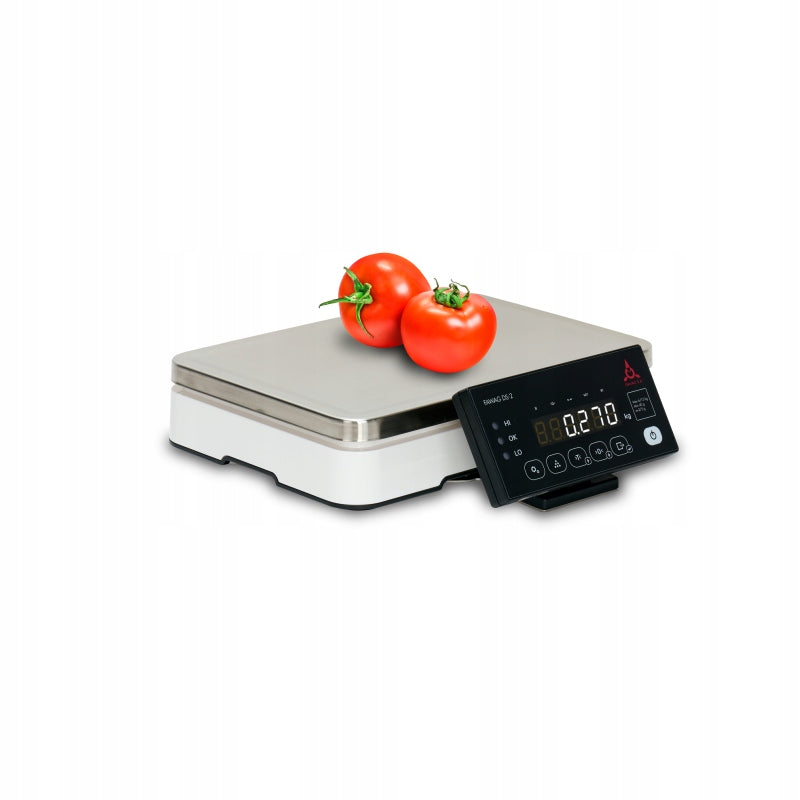 SHOP SCALE FAWAG DS-2 INTEGRATION POSNET Manufacturer code 5906924790407