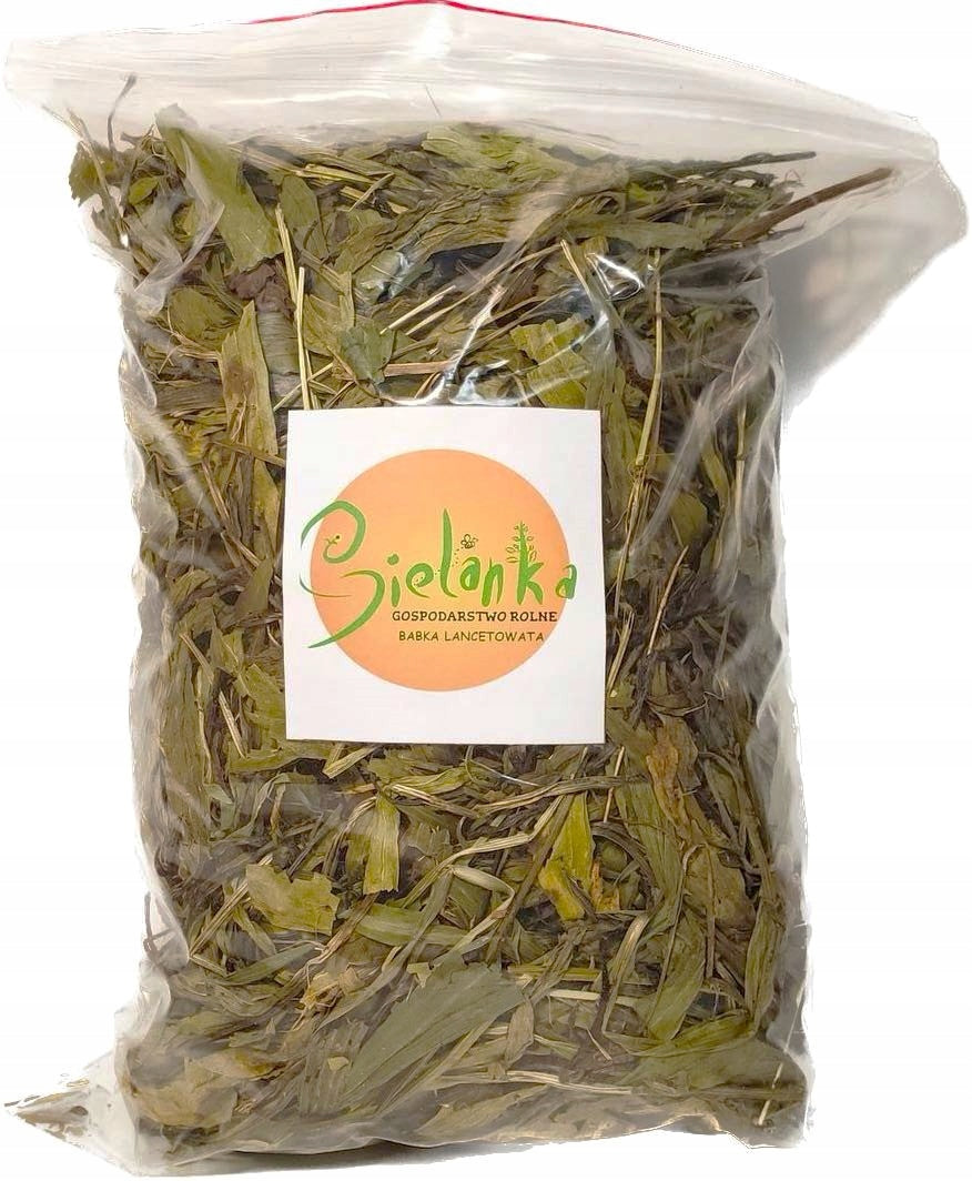 SIELANKA PLANTAIN LANCEOLATE 250g LEAF PLANTAIN LANCEOLATE HERBS FOOD