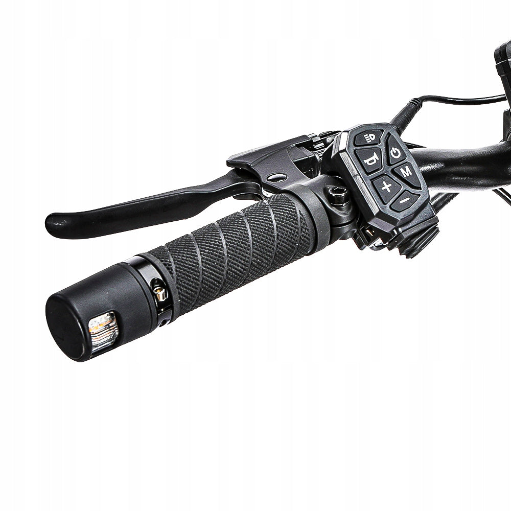 SIGMA X02 18Ah Electric Off-Road Scooter 10" Tubeless Tire Engine power 1600 W
