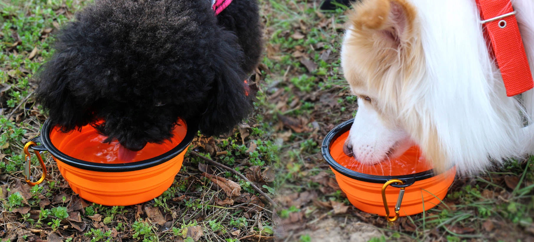 SILICONE DOG BOWL, FOLDABLE, TOURIST, comfortable, practical, 1L Device type single bowl