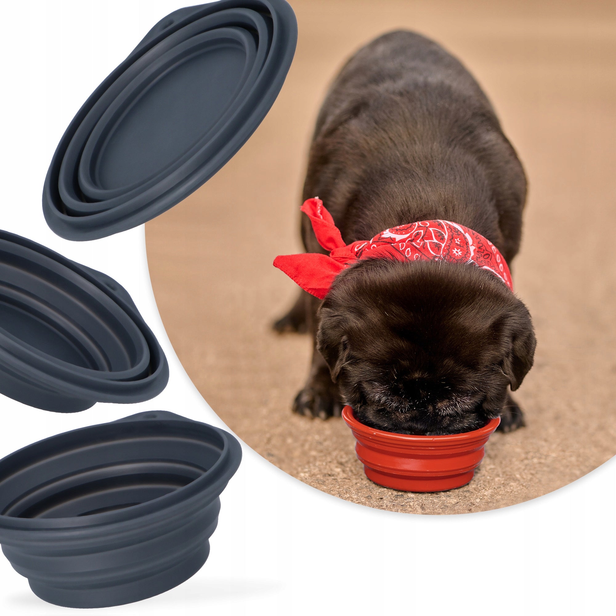 SILICONE FOLDING BOWL for CAT DOG 0,5 l TOURIST BOWL TRAVEL IZ Color red