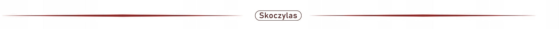 SKOCZYLAS JOINTS COMPLEX COLLAGEN MSM GLUCOSAMINE CHONDROITIN 60 KAPS. Packaging status original