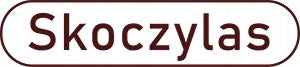 SKOCZYLAS Vitamin C Extract Acerola Hyaluronic Acid 60 kaps Resistance Manufacturer code 5903631208379