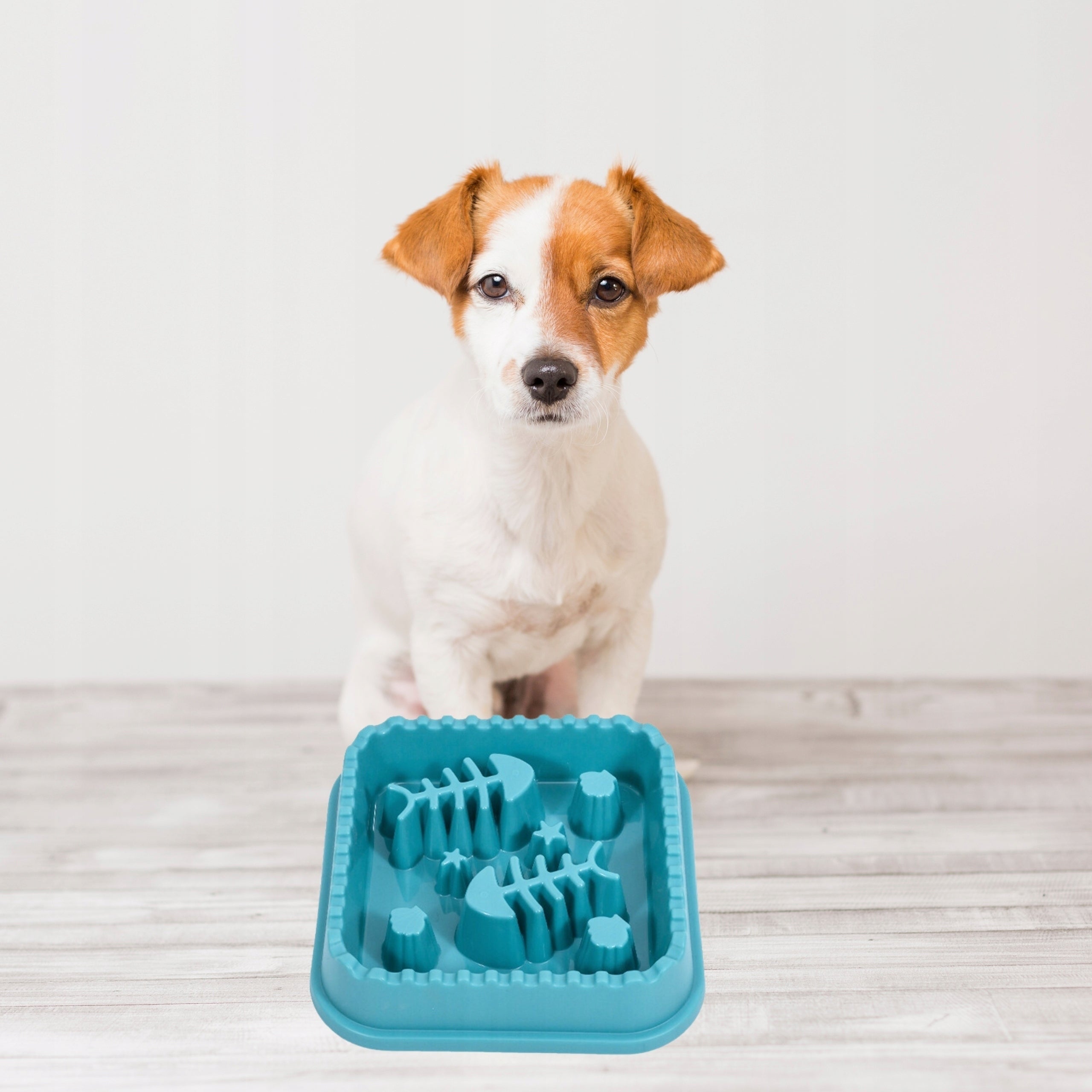 SLOW BOWL Cat Dog Food Slowing Bowl for Food LARGE 600 ml Trade name Miska SPOWALNIAJĄCA jedzenie dla psa kota SLOW BOWL na karme DUŻA 600 ml
