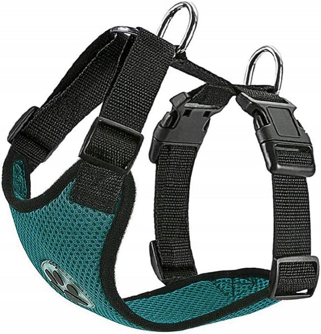 SLOWTON DOG HARNESS-XS-GREEN