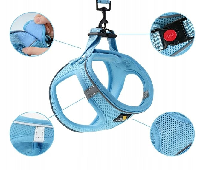 SMALL DOG HARNESS+ LEASH SIZE L BLUE BREATHABLE Manufacturer code 6916543753096