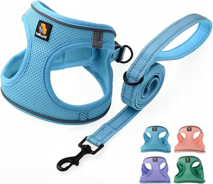 SMALL DOG HARNESS+ LEASH SIZE L BLUE BREATHABLE