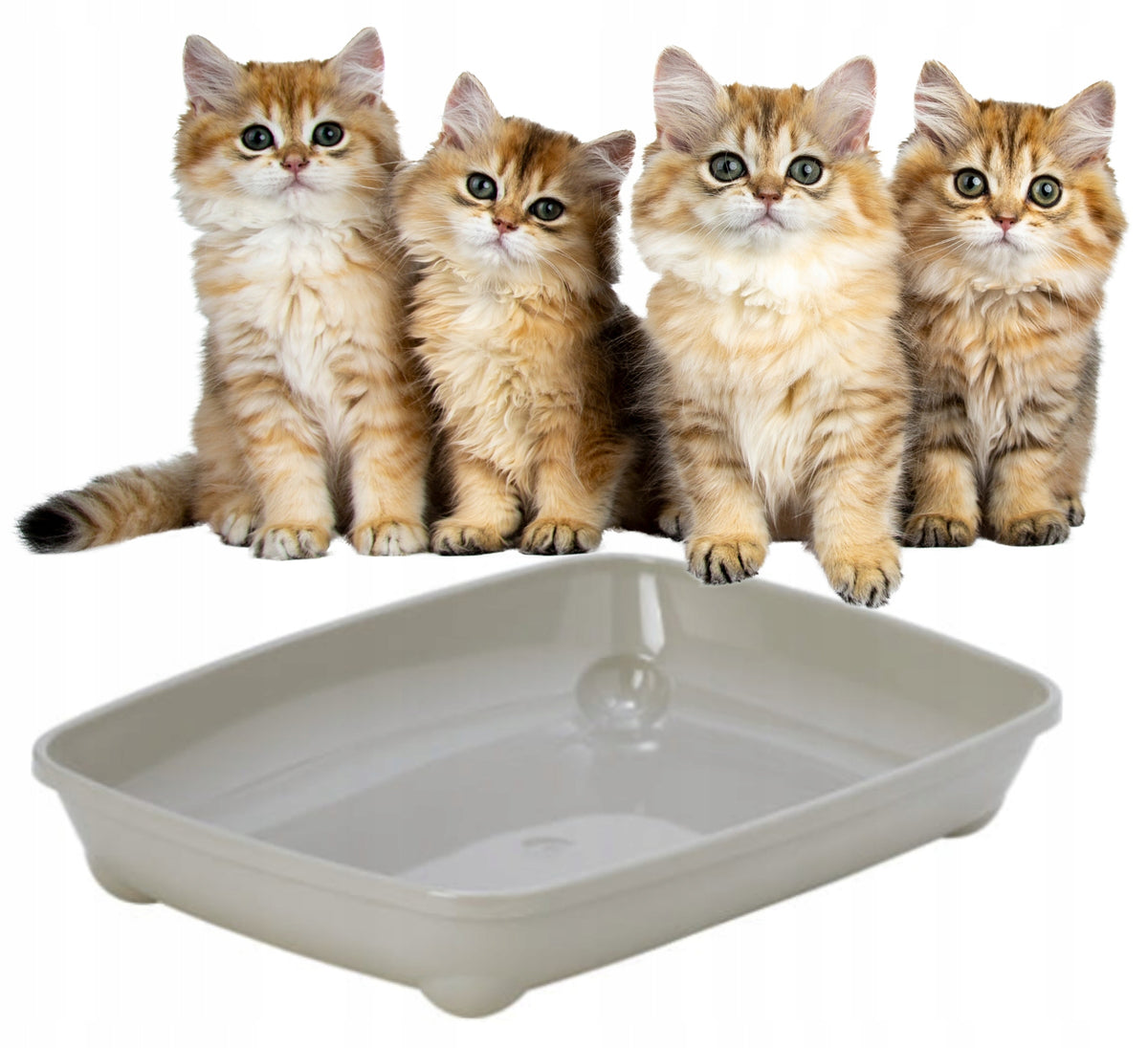 SMALL OVAL LITTER BOX WITHOUT FRAME FOR KITTENS GREY