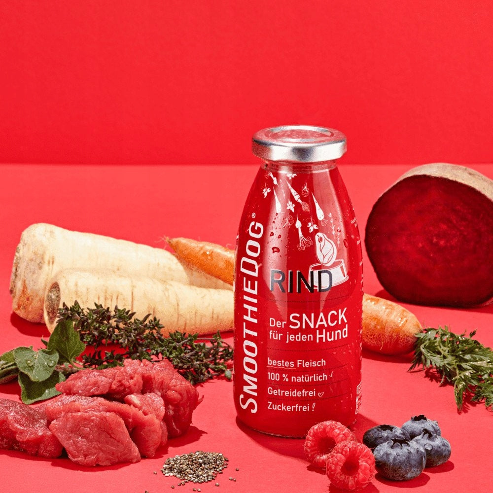 SMOOTHIE DOG Beef Dog Snack 250ml 100% Natural Flavor beef