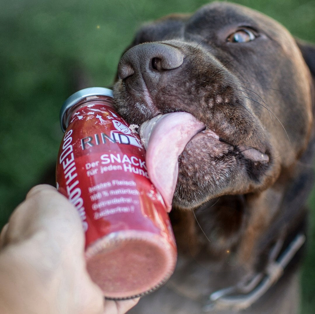 SMOOTHIE DOG Beef Dog Snack 250ml 100% Natural Packaging status original