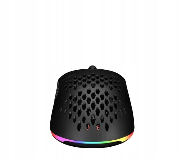 SMX Vervet Mouse Model X Vervet