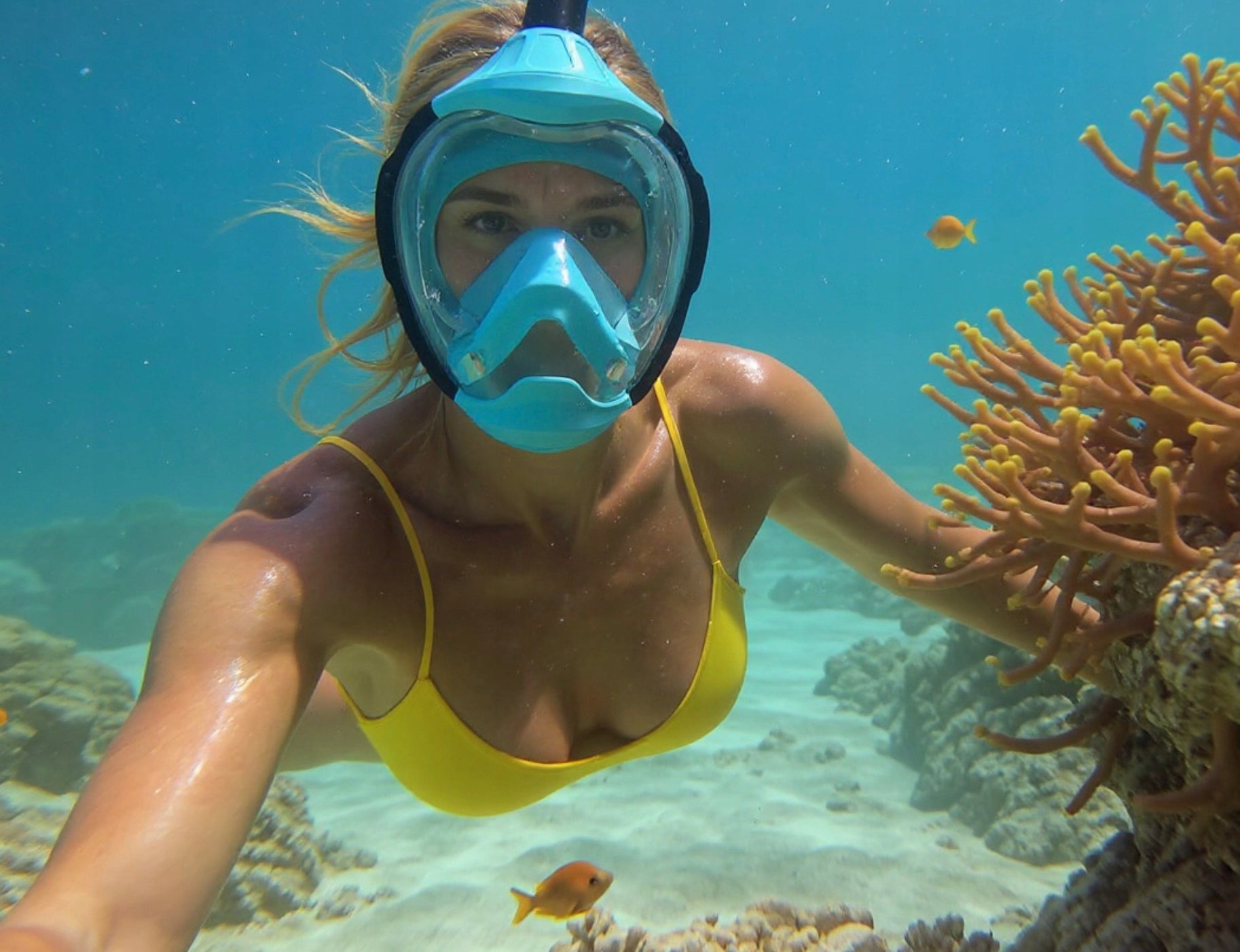 SNORKELING DIVING MASK FULL FACE L/XL DRYTOP ANTIFOG GOPRO EAN (GTIN) 5907187165803